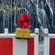 http://www.eurozine.com/articles/2013-01-30-polyakova-en.html