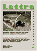 Magyar Lettre Internationale