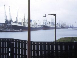 Royal Albert Dock in London