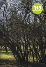 Cover of Revolver Revue