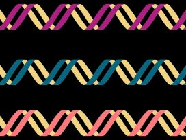 DNA left handed double helix