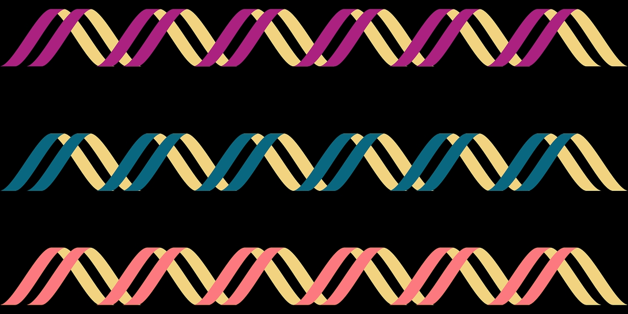 DNA left handed double helix