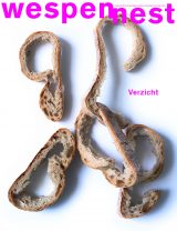 Cover of Wespennest