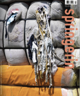 Cover of springerin