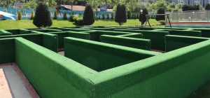 Welcome to the dictator’s playground