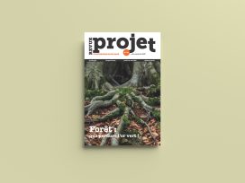 Cover for: Deforestation and reforestation