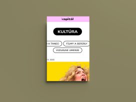 Cover for: Velvet margins