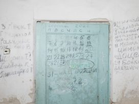 Cover for: Remember that we made it out of the basement