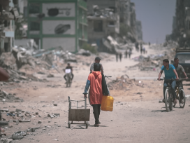 Cover for: Perspectives on Gaza