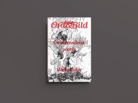 Cover for: Literature in dark times