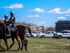 Cover for: A populist’s guide to using museums