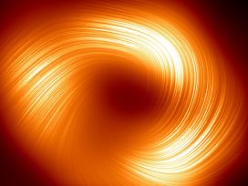 Cover for: DOGE’s deletion strategy