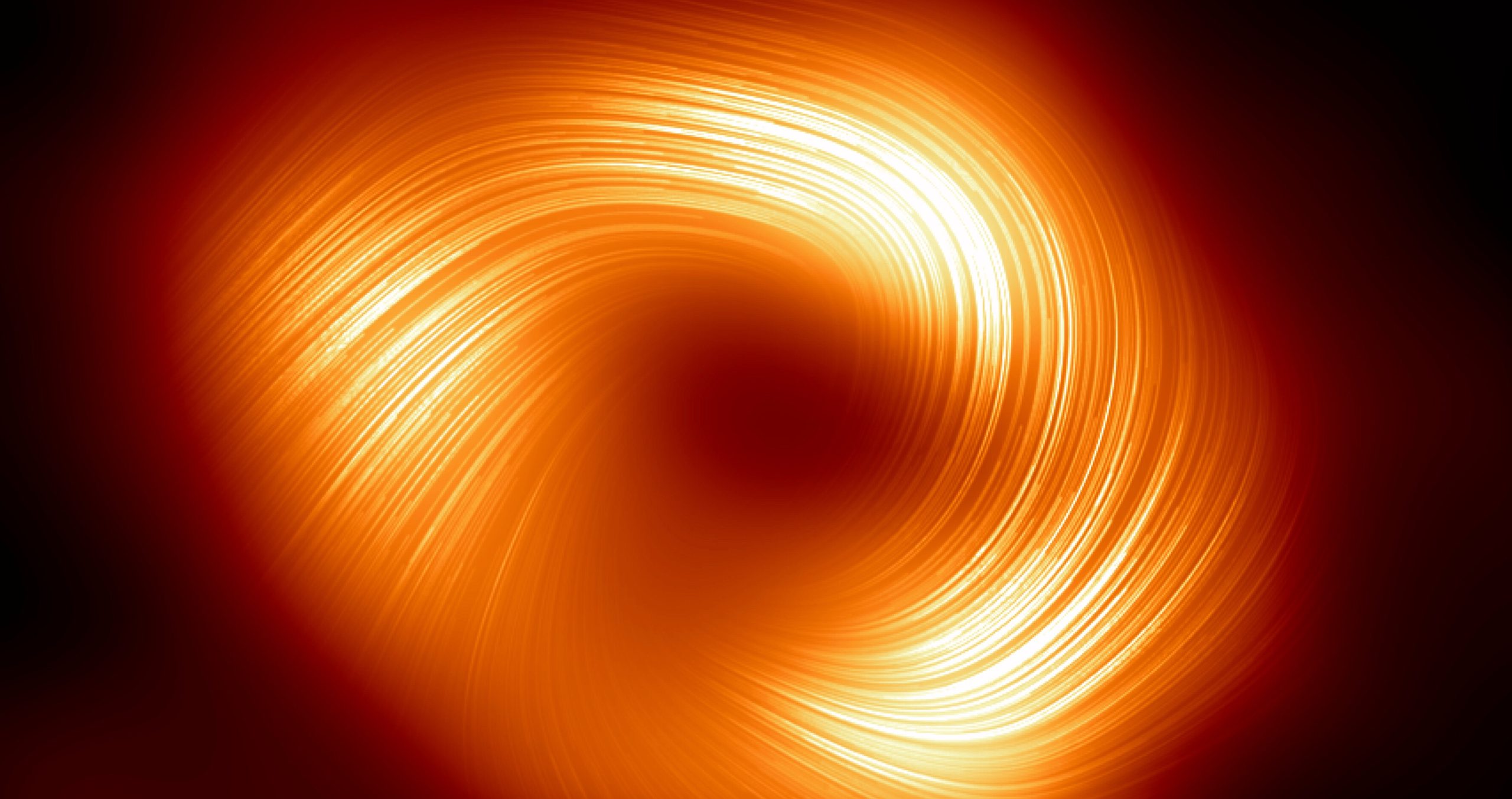 DOGE’s deletion strategy