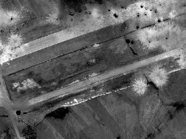 Cover for: Poison and promise