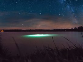 Cover for: The British School of emotionalism and metamodernism