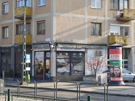 Cover for: Hungary leads the far-right charge on free speech