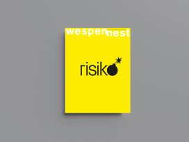 Cover for: Risk